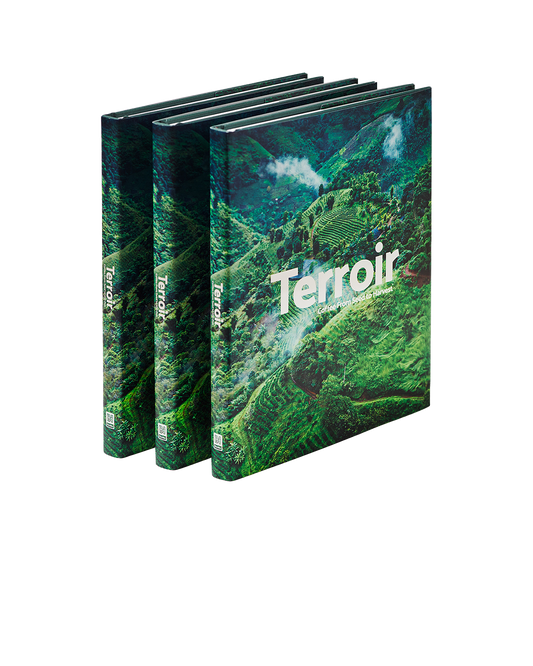 Terroir | Coffee From Seed To Harvest Book